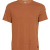 PrAna Men's Prospect Heights Crew Neck T-Shirt -Prana Style 4356114972715 cedar 1a